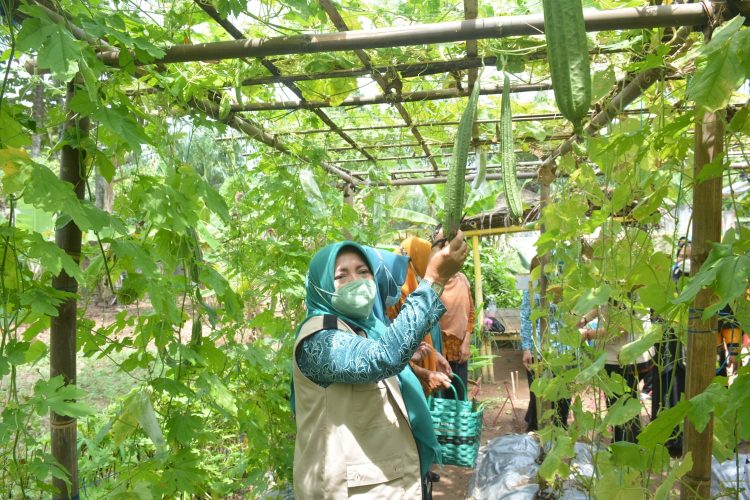 Ketua TP PKK Lamteng Hadiri Acara Penilaian Lomba Kampung Berprestasi Tingkat Kabupaten Lampung Tengah Tahun 2022