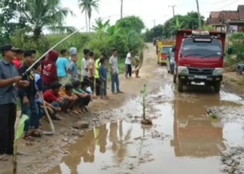 Tak Hanya Mancing Lele, Puluhan Warga Juga Tanam Pohon Pisang Dijalan Berlubang