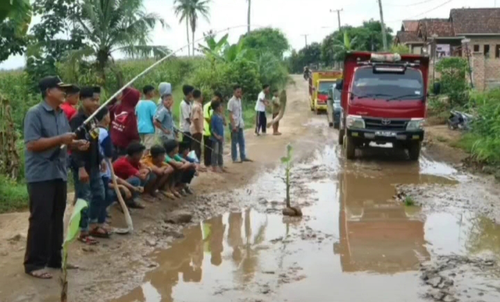 Tak Hanya Mancing Lele, Puluhan Warga Juga Tanam Pohon Pisang Dijalan Berlubang