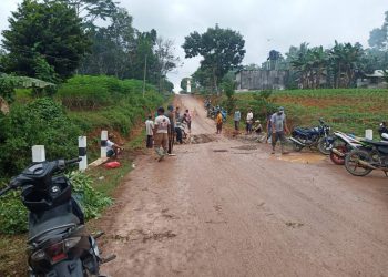 Aparatur Tiyuh Agung Jaya Lestarikan Gotongroyong, Bersihkan Jalan dan Balai Tiyuh
