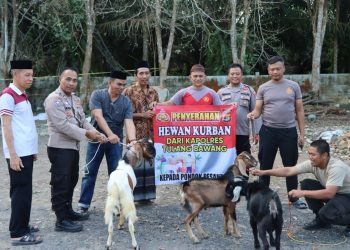 Kapolres Tulang Bawang Serahkan Hewan Kurban Untuk Tiga Ponpes