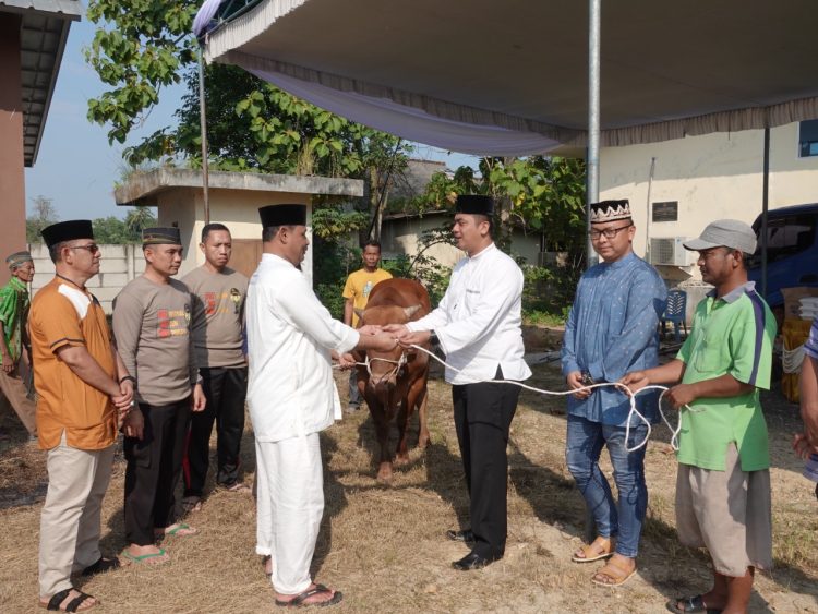 Berbagi di Hari Raya Idul Adha, Polres Lamteng Kurban 6 Sapi, Kerbau dan Kambing