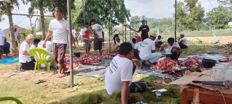 Idul Adha 1443 H, Masjid Istiqlal Purwajaya Kurban 5 Sapi dan 6 Kambing