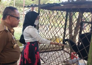 5 Tahun Diasuh Akhirnya Doli Ngandang di Taman Kehati Mesuji