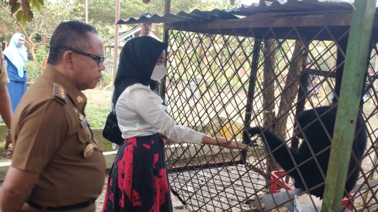 5 Tahun Diasuh Akhirnya Doli Ngandang di Taman Kehati Mesuji