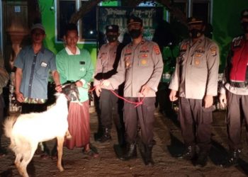 Momentum Idul Adha 1443 H, Kapolsek Tebas Serahkan Dua Ekor Hewan Kurban dan Paket Sembako