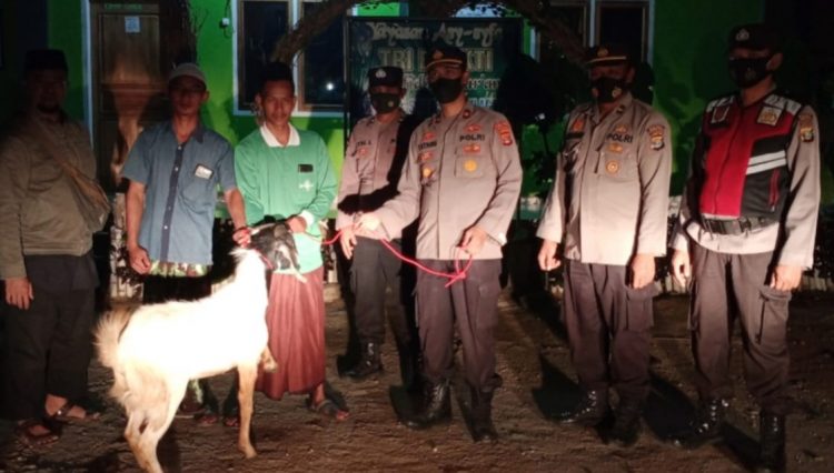 Momentum Idul Adha 1443 H, Kapolsek Tebas Serahkan Dua Ekor Hewan Kurban dan Paket Sembako