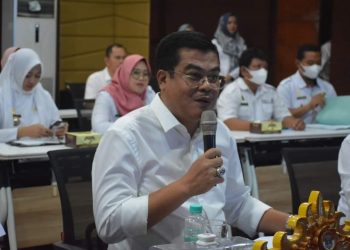 Bupati Musa Buka Webinar Literasi Digital 2022