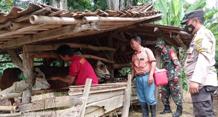 TNI/Polri Bangun Sinergitas Cegah PMK