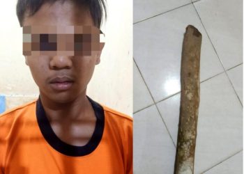 Dipicu Motif Balas Dendam, Warga Lamteng Tewas Dipukul Kayu Karet, Pelaku Sadar Ternyata Salah Sasaran