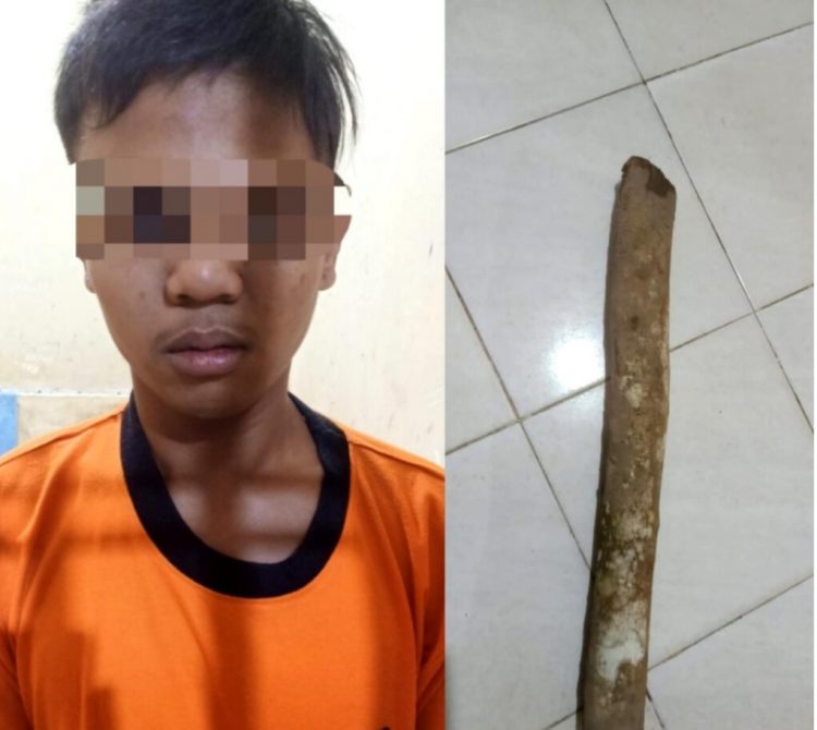 Dipicu Motif Balas Dendam, Warga Lamteng Tewas Dipukul Kayu Karet, Pelaku Sadar Ternyata Salah Sasaran