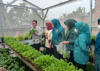 Upaya Tekan Inflasi Pangan, Pemkot Metro Jalankan Program B2SA di Kelurahan Sumbersari