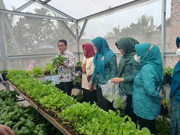 Upaya Tekan Inflasi Pangan, Pemkot Metro Jalankan Program B2SA di Kelurahan Sumbersari