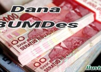 Bumdes Desa Labuhan Baru Kecamatan Way Serdang Kabupaten Mesuji di pertanyakan
