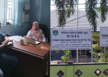 Waduhh!! Oknum KWT Berjaya Diduga Sempat Berikan Suap Ke Dinas KPTP-H Lamteng 