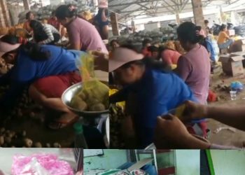 Tak Indahkan Surat Edaran Pemkab Lamteng, Seorang Oknum Dewan Dapil 5 Nekat Suplay Paket Sembako