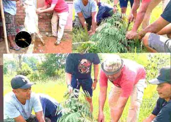 Warga Yukumjaya Potong Kambing, Wujud Syukur Ardito Bupati Terpilih