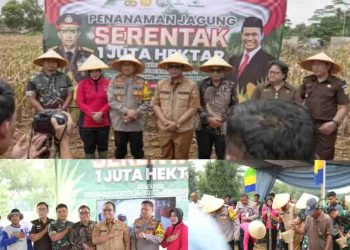 Kembangkan Hasil Usaha Pertanian Produktif, Wabup Ardito Tanam Jagung Satu Juta Hektar Serentak di Lamteng