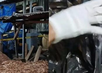 Polisi Dalami Penyebab Warga Lampung Timur Tewas di Mesin Penghancur Kayu PT Minggok Indonesia