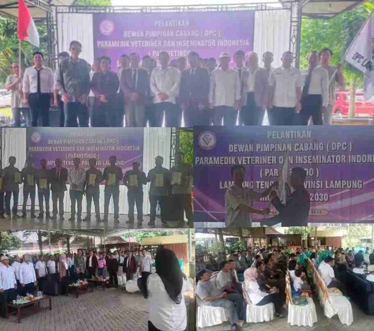 DPC Paravetindo Lamteng Resmi Dilantik,   Dukung Program Pemerintah Melalui Ketahanan Sumber Daya Alam Hewani