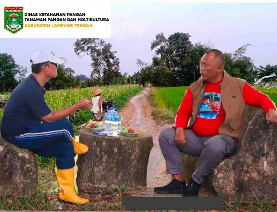 Dugaan Proyek Pada Dinas Pertanian Senilai Rp3 miliar Tahun 2025 Diambil Dua Penguasa Lamteng, Komang: Saya Gak Tahu Itu Bukan Urusan Kami